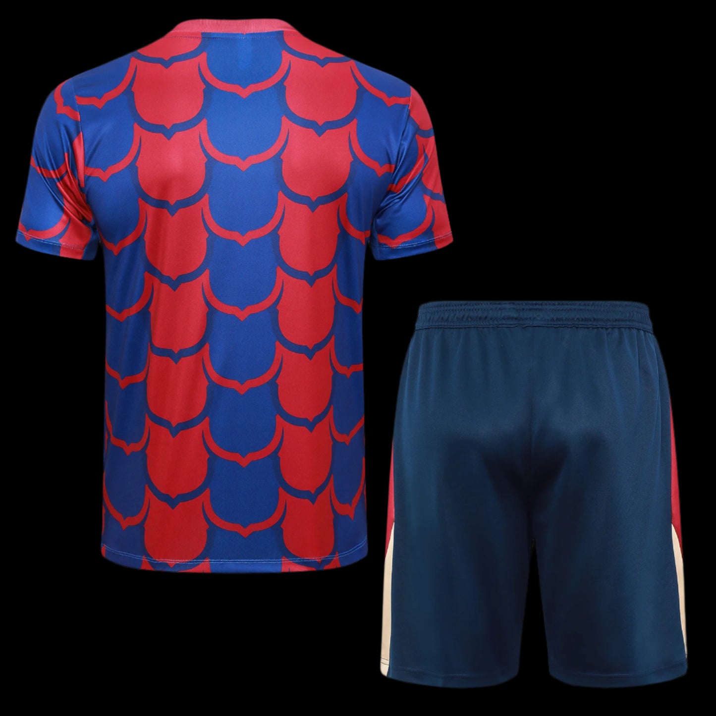 Barcelona 24/25 Blue and Red Training Kit