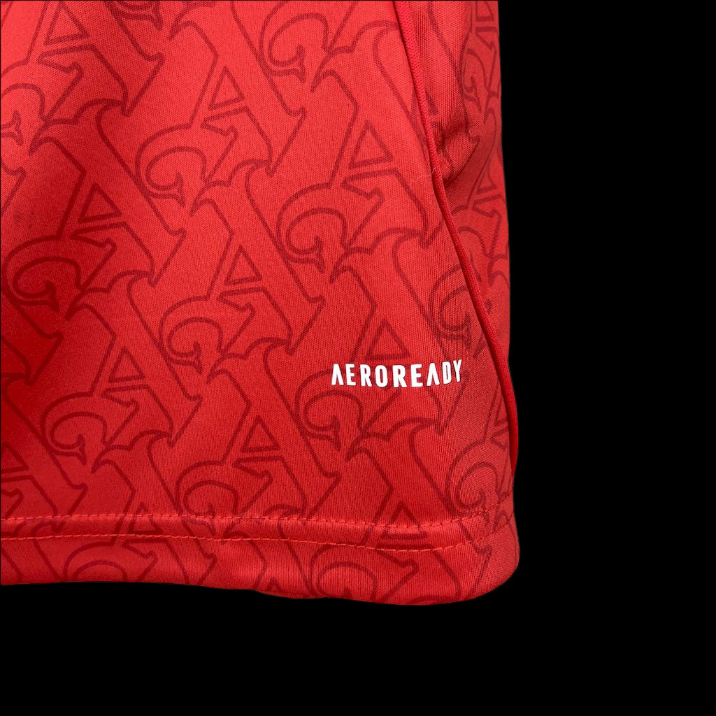 Arsenal 25/26 Home