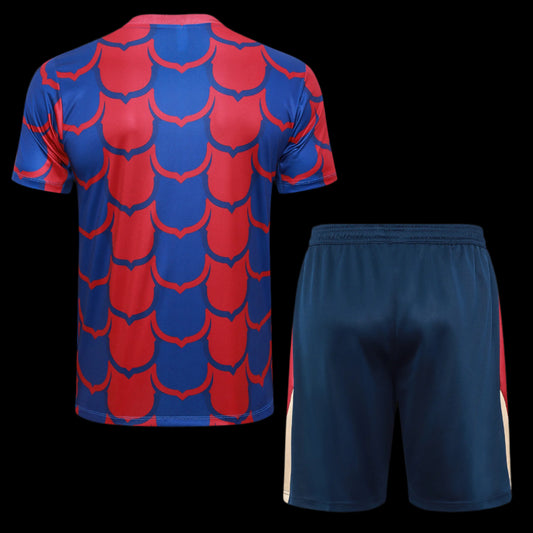 Barcelona 24/25 Blue and Red Training Kit