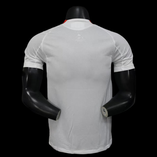 Liverpool 25/26 Away Player Version