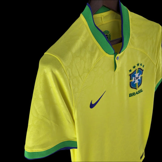 Inicio de Brasil 2022